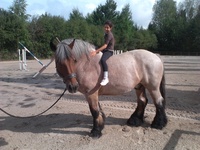 Bienvenue au poney-club de la Pommeraie